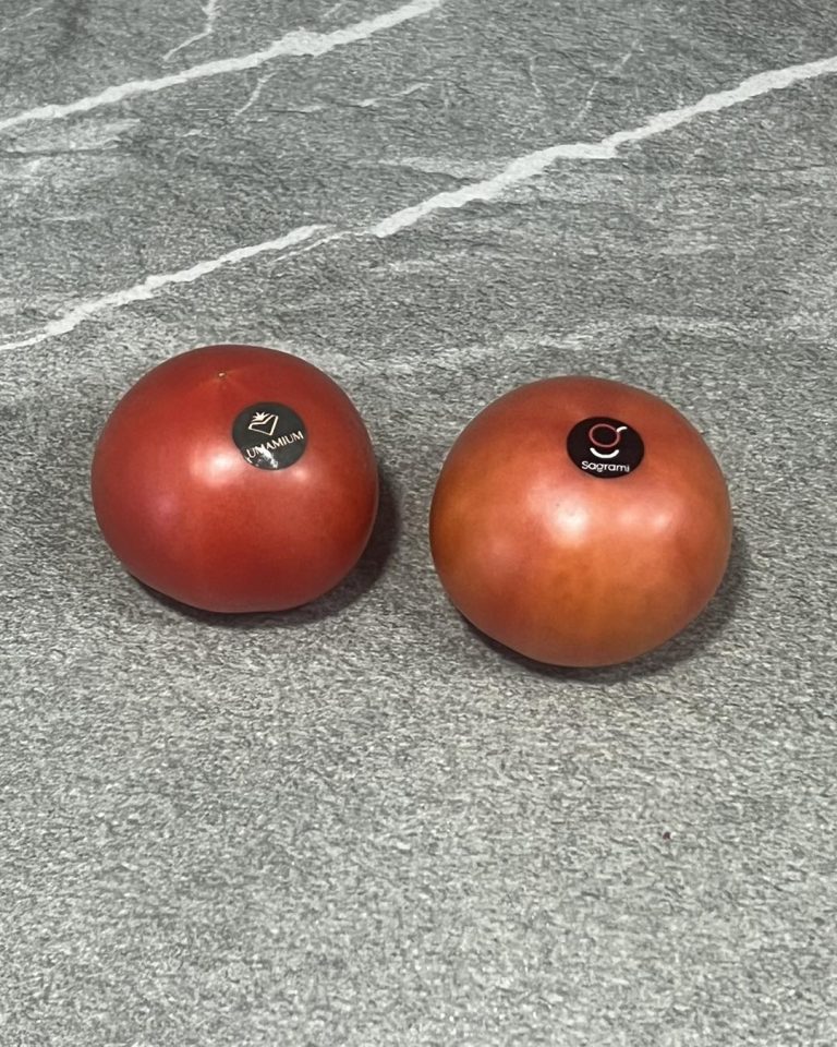 tomates sagramy