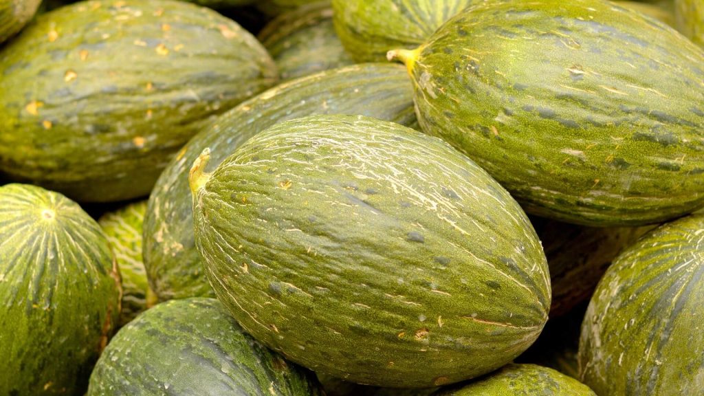 melones
