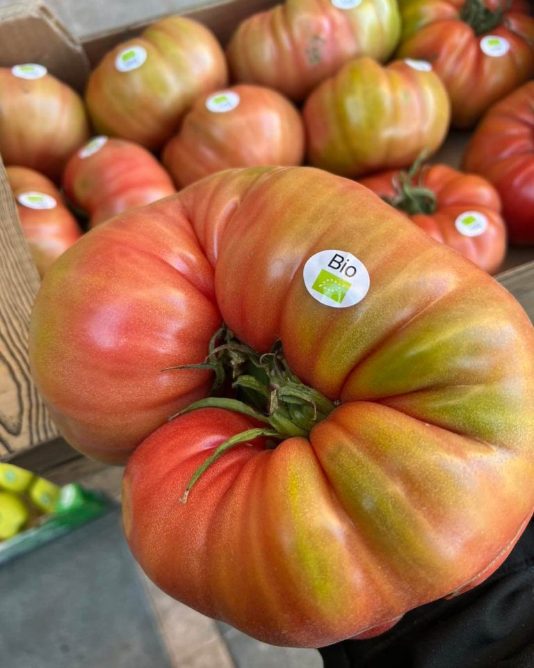 Tomates quefrutas