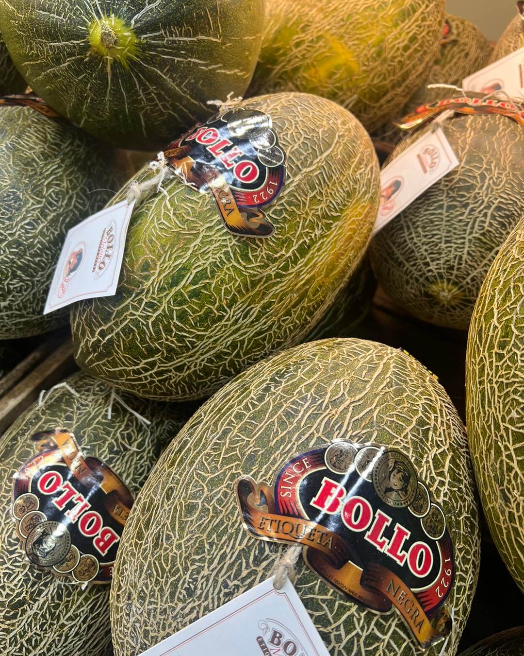 Melón bollo